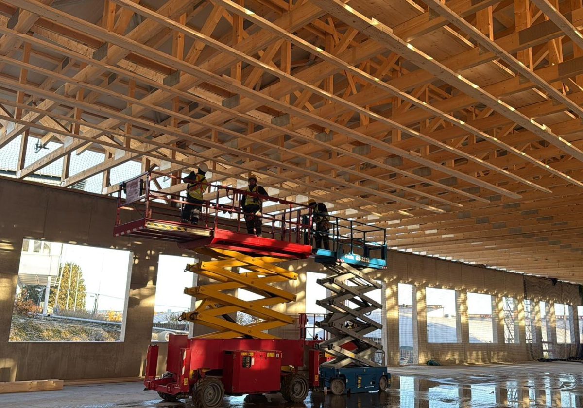 WhatsApp Image 2026-02-09 at 11.13.50