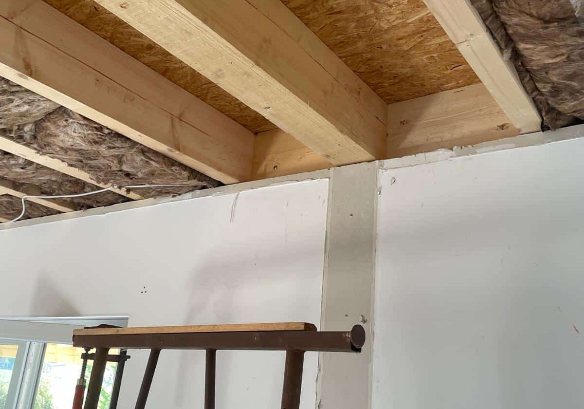 WhatsApp Image 2026-02-09 at 11.46.10