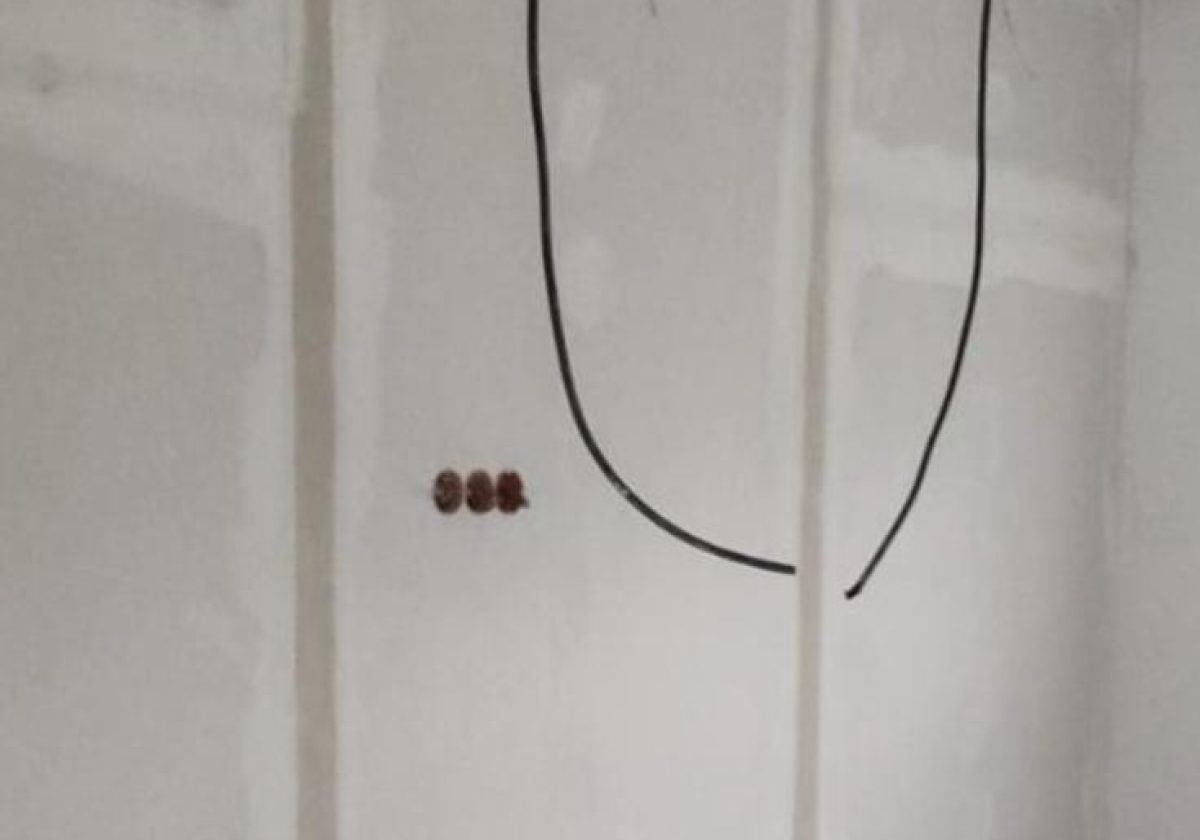 WhatsApp Image 2026-02-09 at 11.46.11 (6)