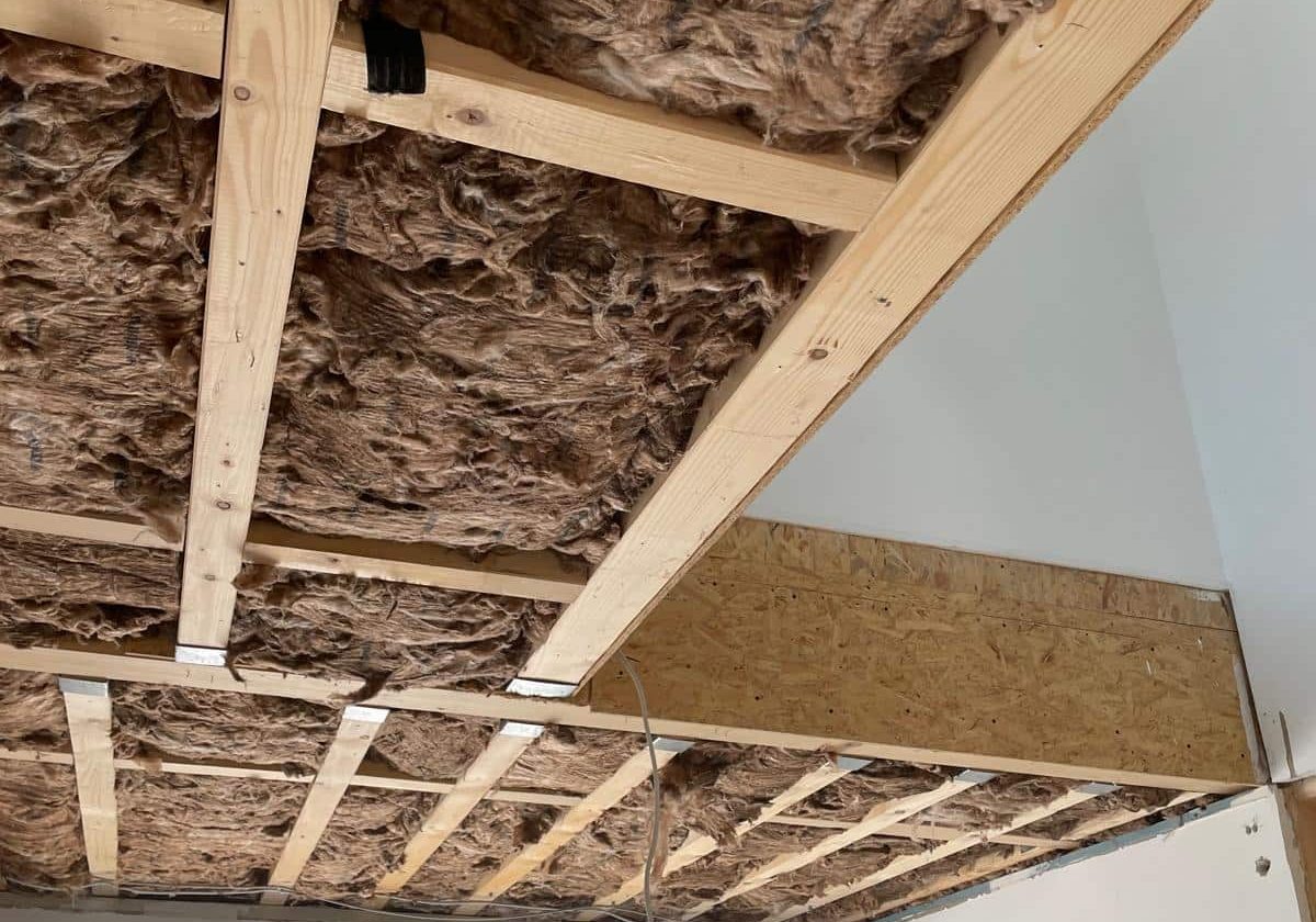 WhatsApp Image 2026-02-09 at 11.46.11